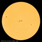 SDO/HMI Continuum Image of the Sun